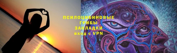 ГАЛЛЮЦИНОГЕННЫЕ ГРИБЫ Наволоки