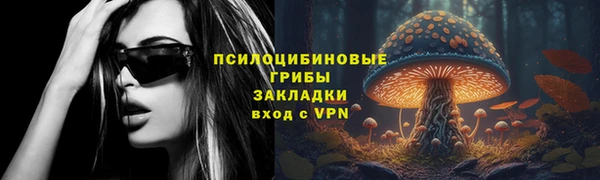 прущие крисы Надым