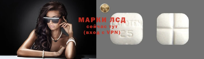 mdpv Вяземский