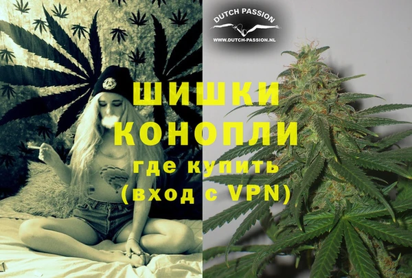 ГАЛЛЮЦИНОГЕННЫЕ ГРИБЫ Наволоки