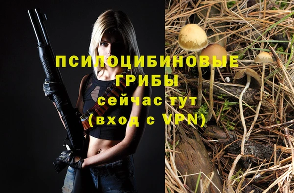 ГАЛЛЮЦИНОГЕННЫЕ ГРИБЫ Наволоки