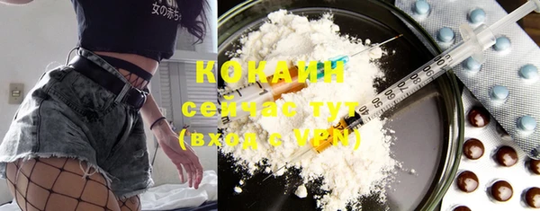 прущие крисы Надым