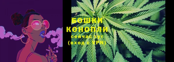 ГАЛЛЮЦИНОГЕННЫЕ ГРИБЫ Наволоки