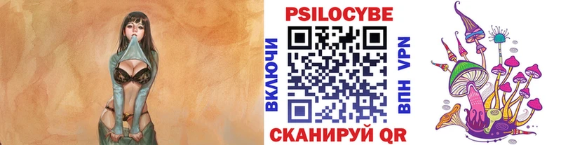 Галлюциногенные грибы Psilocybine cubensis Заринск