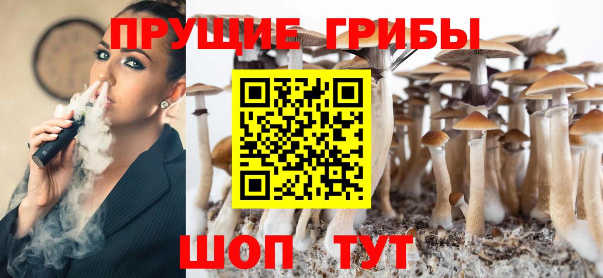 Заринск  Псилоцибиновые грибы мицелий  Вход с VPN 