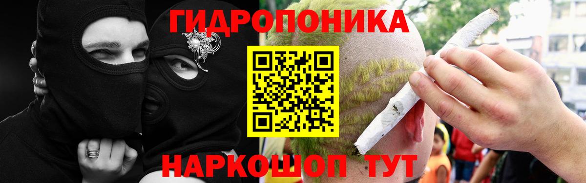 Бошки марихуана планчик  Шишки марихуана сатива  Вход с VPN  Заринск 